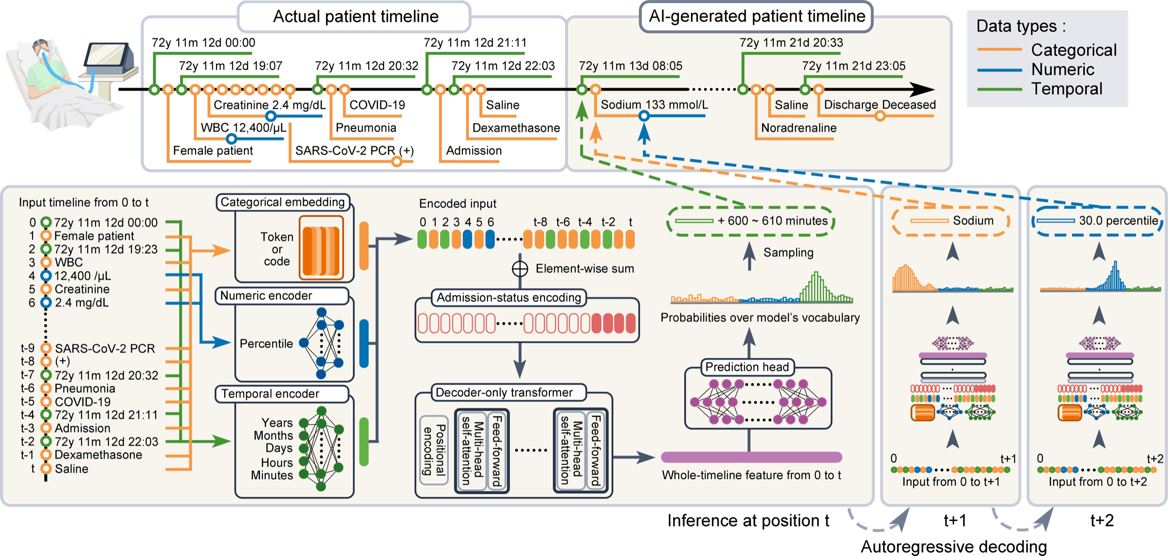 Watcher's architecture — a patient timeline of coded events, times, and lab values, encoded and continued by a decoder-only transformer that samples the next event.